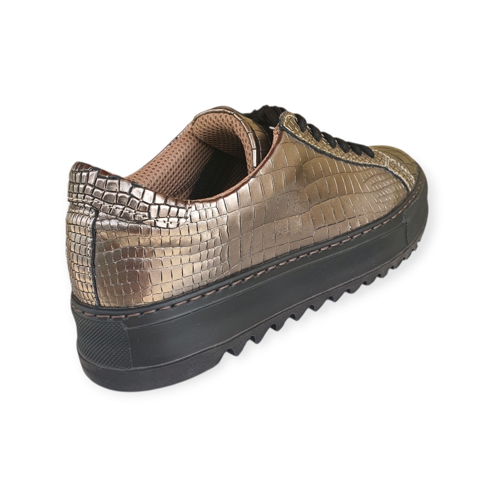 16659-25 Little Gaucho lame